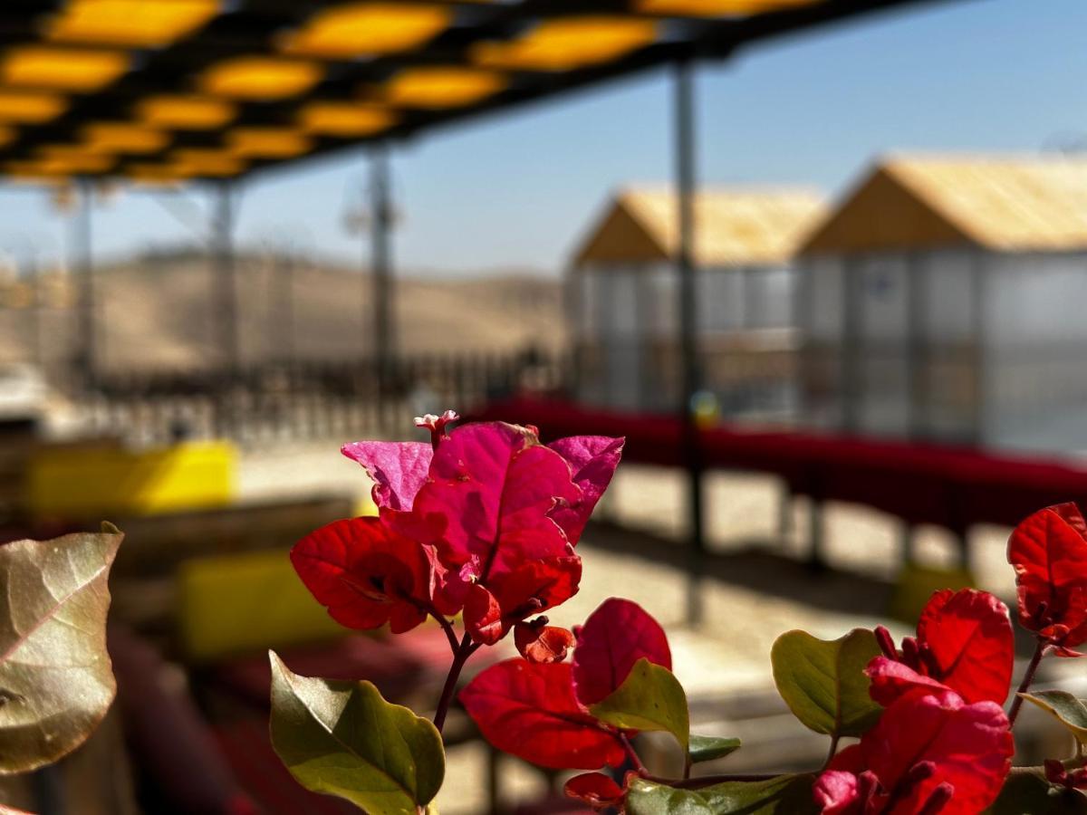 Wadi Al-Wala View Camp Hotel Madaba Exterior photo